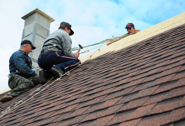 Best Roof Gutter Cleaning  in Dickson City, PA